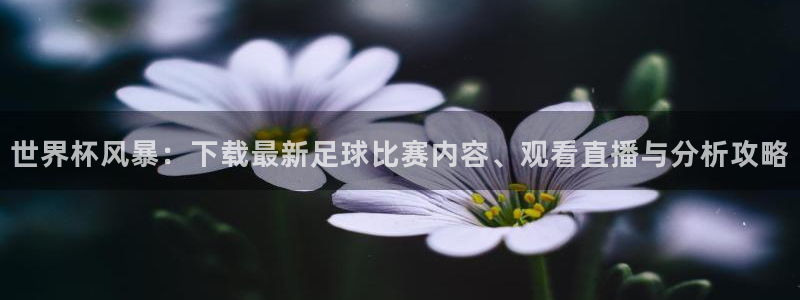 世界杯欧洲区预选赛赛程：世界杯风暴：下载最新足球比赛内容、观看直播与分析攻略