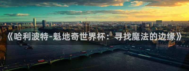 英足总杯直播：《哈利波特-魁地奇世界杯：寻找魔法的边缘》