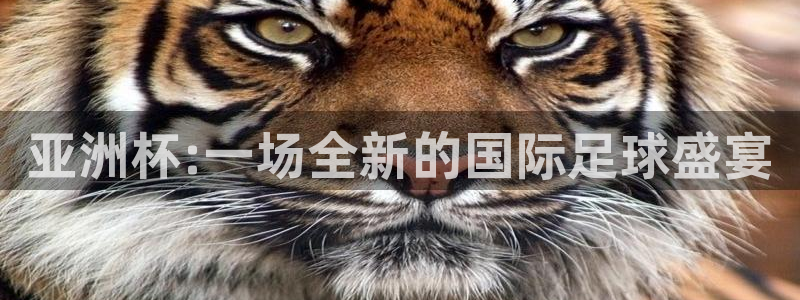 足球比分直播世界杯：亚洲杯:一场全新的国际足球盛宴