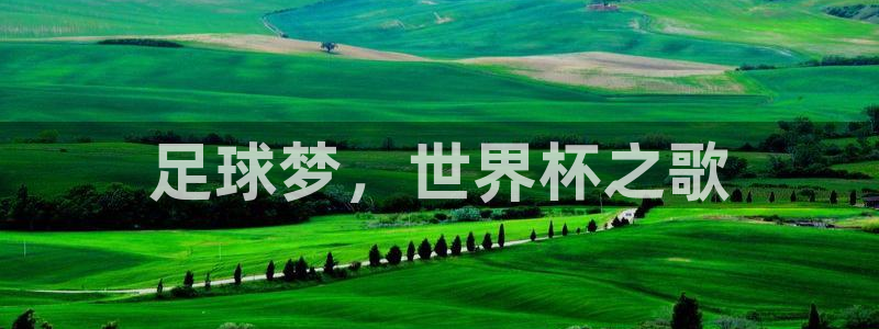 世界杯官网：足球梦，世界杯之歌