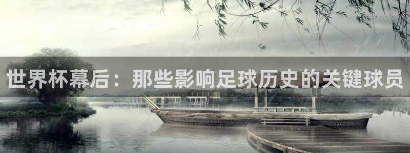 2006年世界杯冠军：世界杯幕后：那些影响足球历史的关键球员