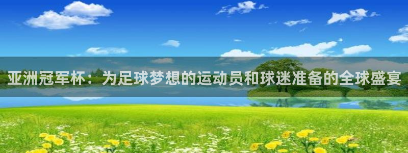 世界杯球队排名：亚洲冠军杯：为足球梦想的运动员和球迷准备的全球盛宴