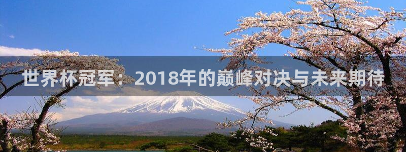 世界杯2026比赛时间表：世界杯冠军：2018年的巅峰对决与未来期待