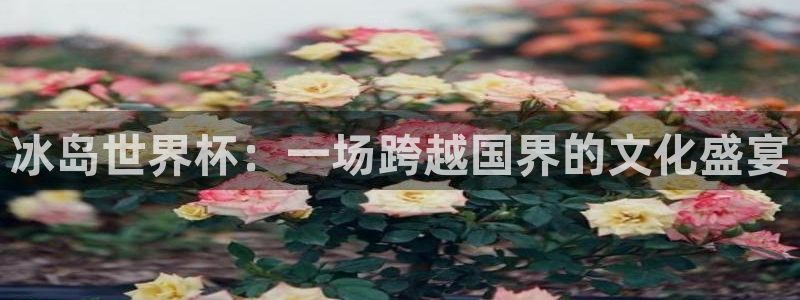 世界杯足球赛：冰岛世界杯：一场跨越国界的文化盛宴