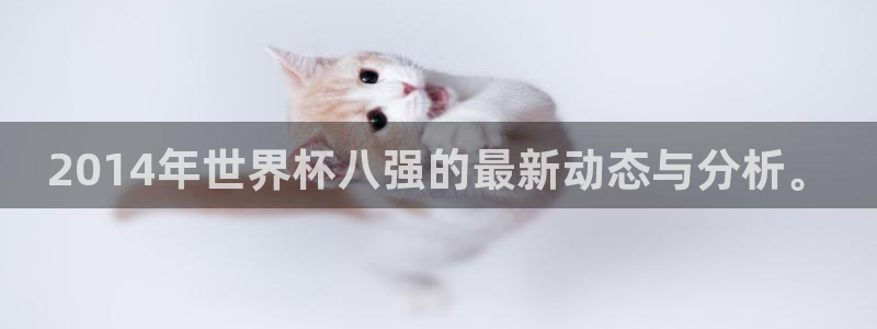 2026年世界杯赛程时间表格：2014年世界杯八强的最新动态与分析。