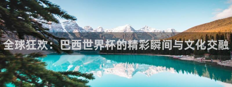 世界杯欧洲预选赛：全球狂欢：巴西世界杯的精彩瞬间与文化交融