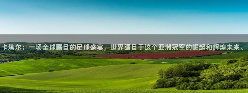 世界杯在线直播入口：卡塔尔：一场全球瞩目的足球盛宴，世界瞩目于这个亚洲冠军的崛起和辉煌未来。