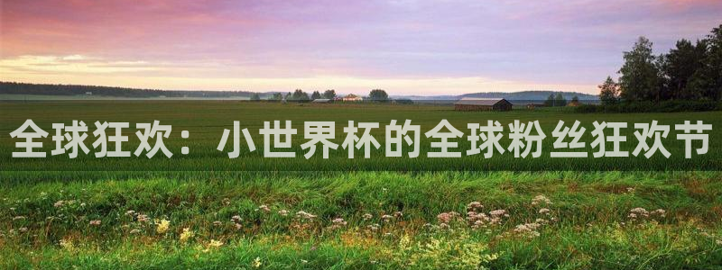 世界杯赛程2026：全球狂欢：小世界杯的全球粉丝狂欢节