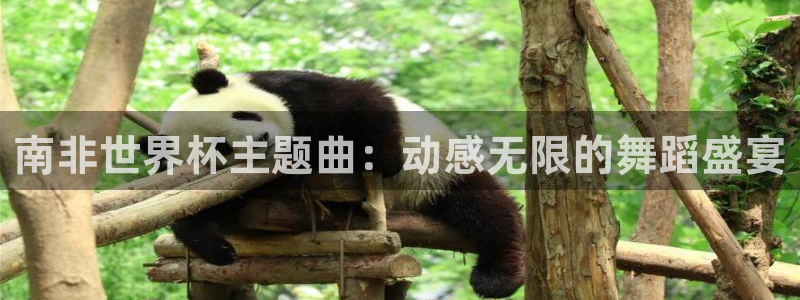 足球世预赛：南非世界杯主题曲：动感无限的舞蹈盛宴